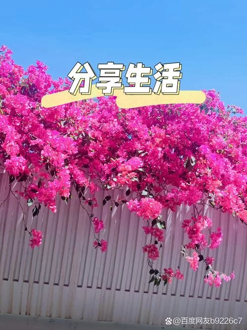 9226.ATV Bike.ver.2.7-安卓魔改版下载