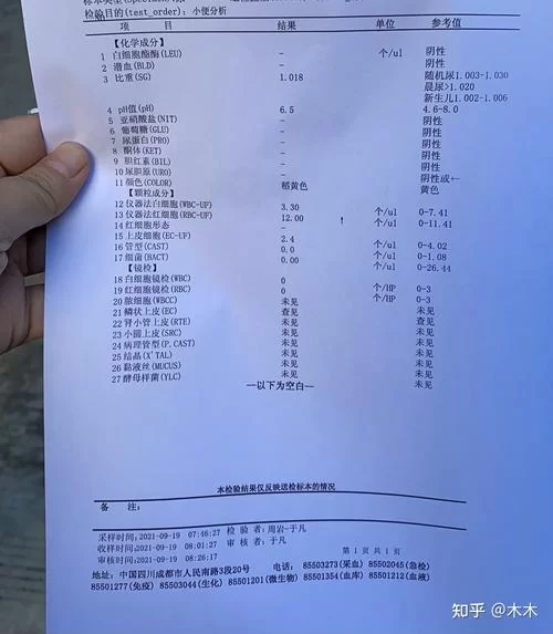 12376.Dragon Boat Robot Game4.1-安卓魔改版下载