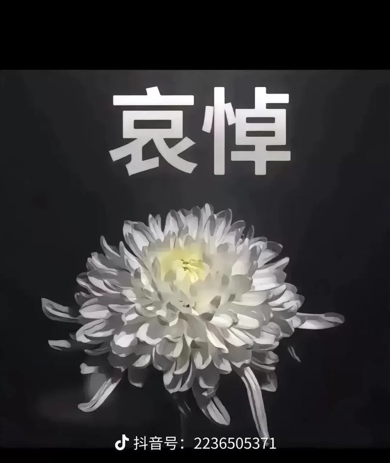 12785.Real Surgeon Simulator1.0.21-安卓魔改版下载