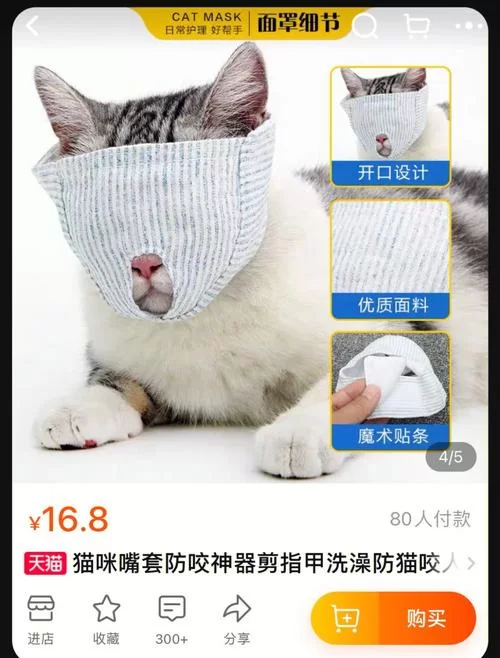 12236.猫逝 ver.1.3.4-安卓魔改版下载