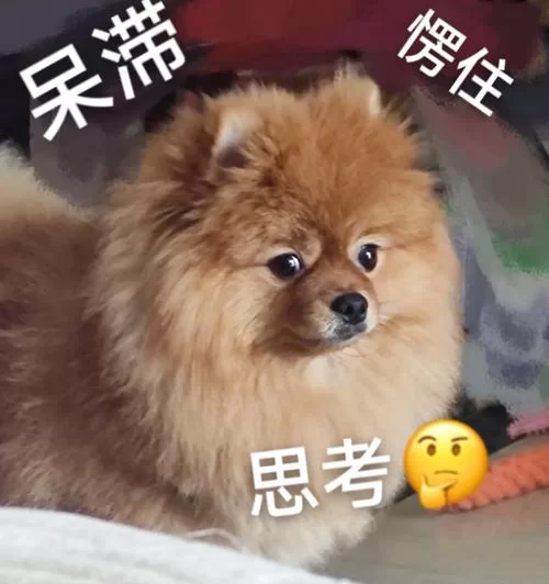 6369.小生活｜官方中文｜Build.9347323-0820