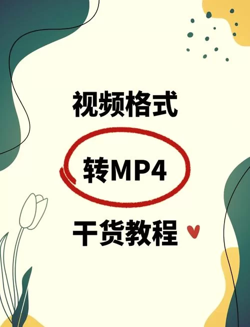 还在为视频格式转换发愁？试试这款AMV转换工具！