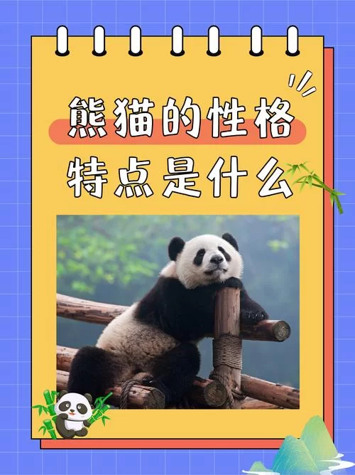 深入了解Pandaren：熊猫人的历史与文化