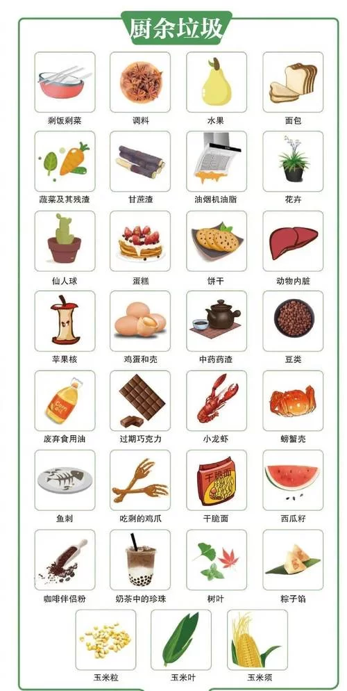 你是什么垃圾？全国垃圾分类最新进展