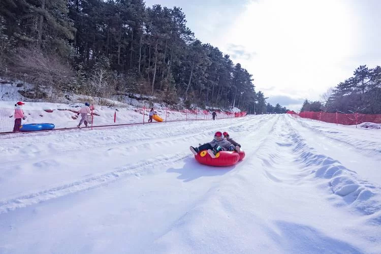 冬天去哪儿玩？雪地里的惊喜与快乐