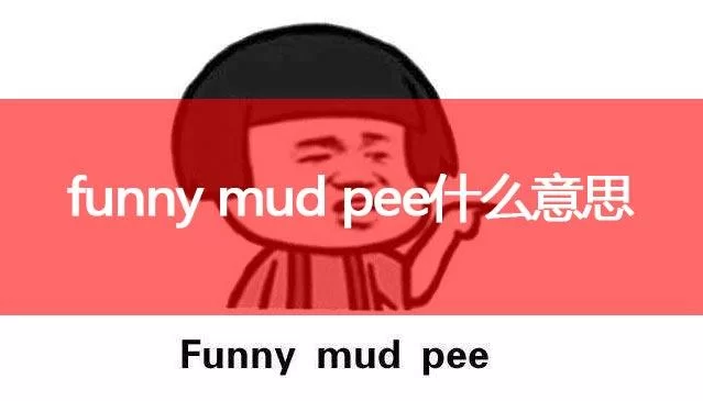 funny mud pee啥意思？谐音梗你懂的！