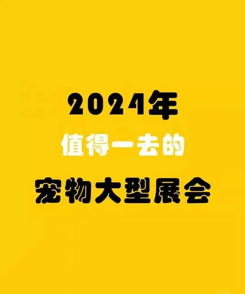 2024最火爆电子宠物猫大盘点，你pick哪一款？