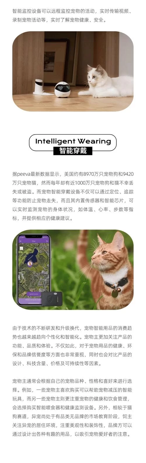 2024最火爆电子宠物猫大盘点，你pick哪一款？