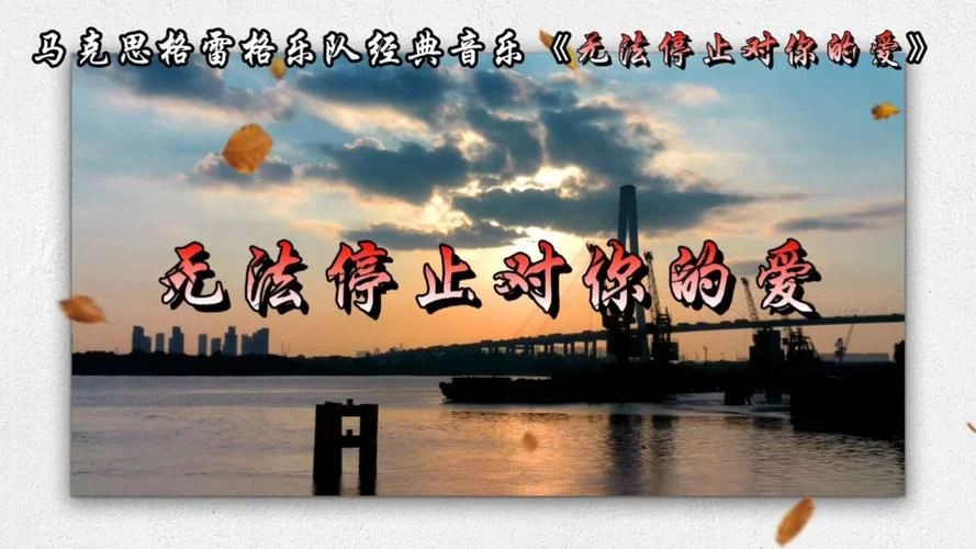 无法停止对你的爱：一份深沉的爱恋