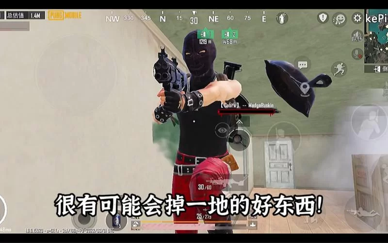 游戏高手用大菠萝15倍镜决赛圈吃鸡秘籍