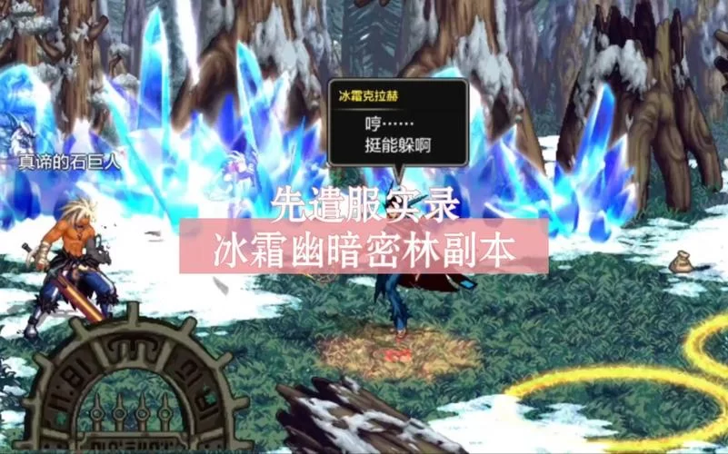 冰霜幽暗密林副本攻略：通关技巧与装备推荐