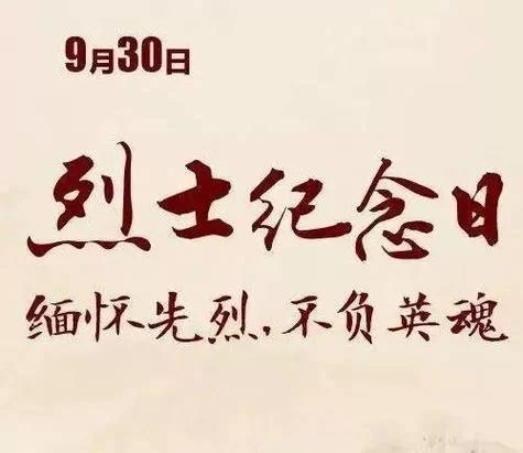 百年树魂：致敬一代代护林人的感人故事