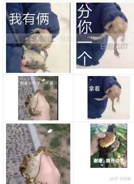 七夕蛤蟆表情包火了！单身狗专属表情包下载