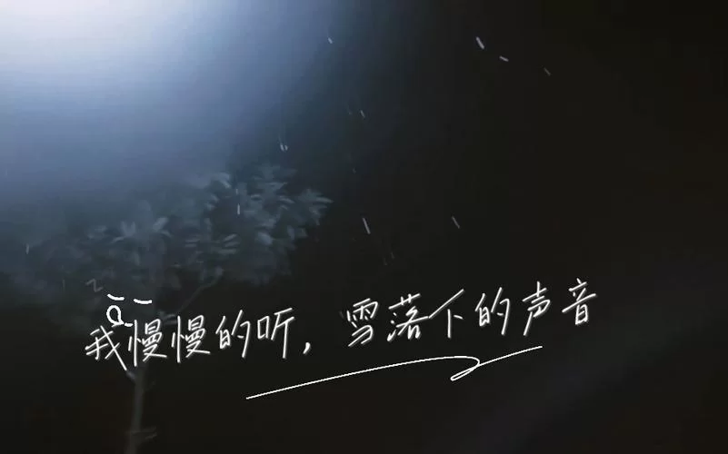 “我慢慢地听雪落下的声音”是哪首歌？歌曲背后的故事