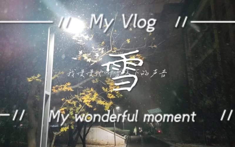 “我慢慢地听雪落下的声音”是哪首歌？歌曲背后的故事