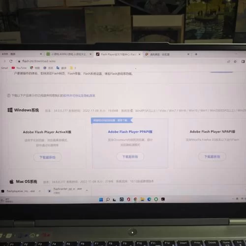 正版Flash Player下载：解决网页视频无法播放