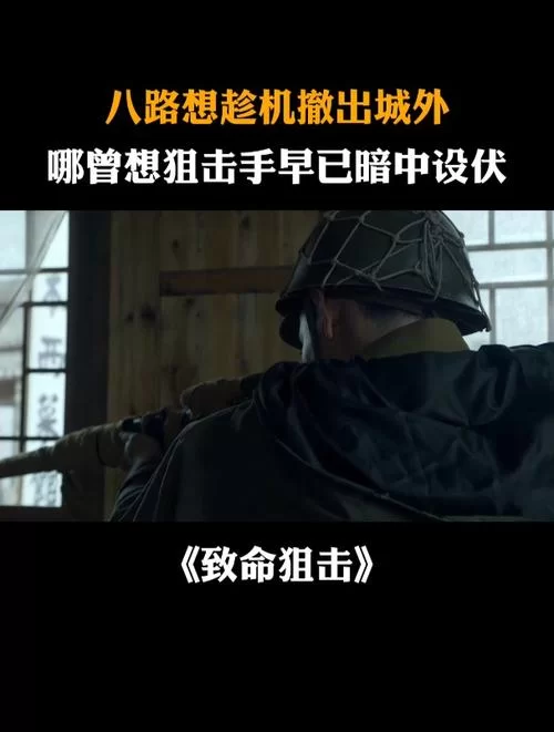 致命狙击：狙击手背后的惊天阴谋