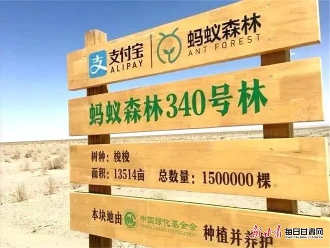 蚂蚁森林摘得联合国大奖！究竟是什么奖项？