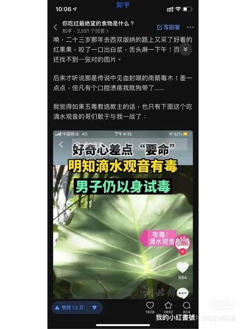 为什么找不到好奇心日报？App下架真相是什么？