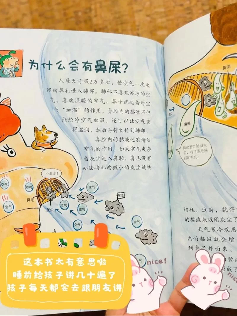 为什么找不到好奇心日报？App下架真相是什么？