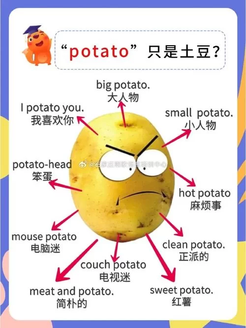 potato是什么意思？教你正确读音和用法