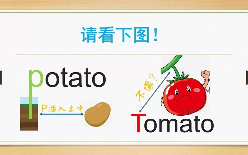 potato是什么意思？教你正确读音和用法