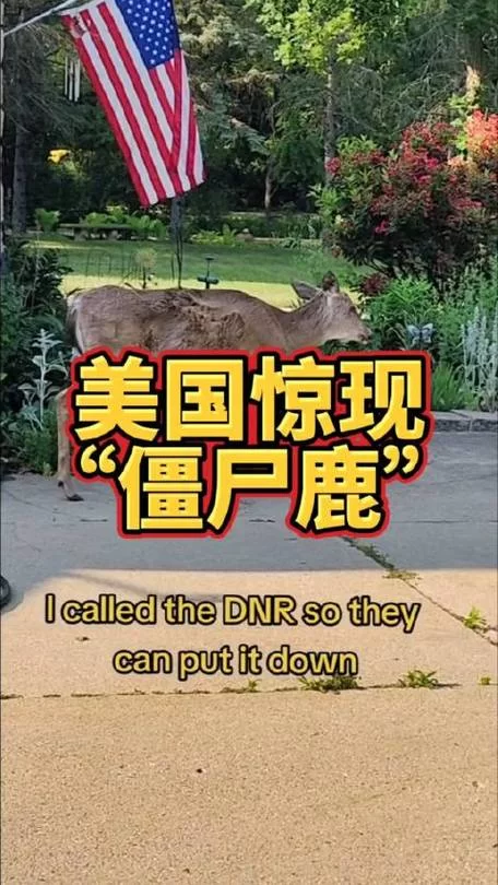 美国僵尸鹿疫情爆发，你了解多少？