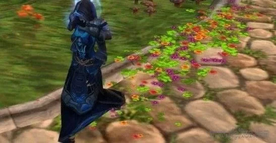 魔兽世界塞纳留斯之路：麦当劳联动活动奖励
