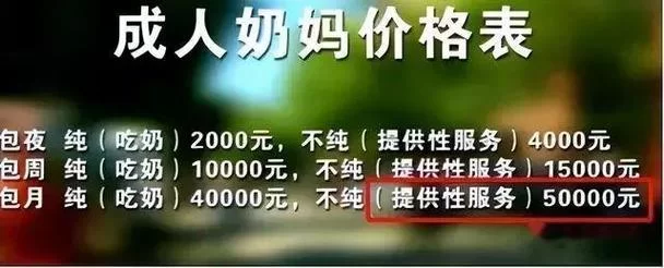 北京靠谱的奶妈中介推荐：专业服务，让您安心选择