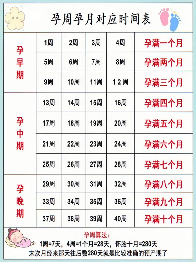 怀孕日历：精准计算预产期，掌握孕期每一个阶段