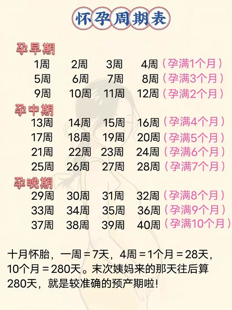 怀孕日历：精准计算预产期，掌握孕期每一个阶段