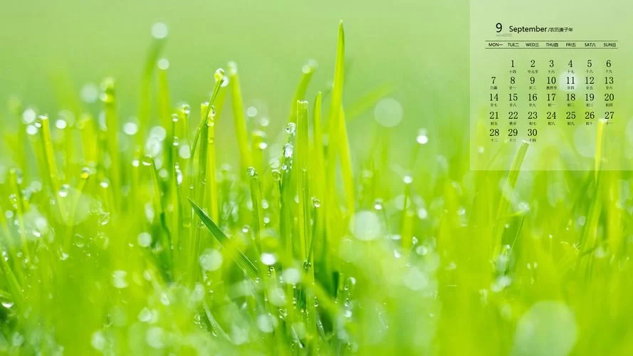 飞雪桌面日历绿色版：告别繁琐，高效管理你的时间