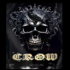 寻找高品质Crow Song？这里有无损音乐下载