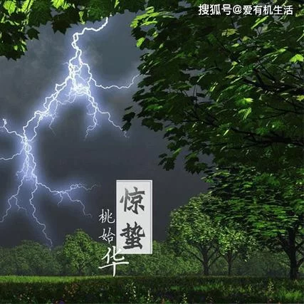 春雷响，万物动！惊蛰的“蛰”是什么意思？快速了解