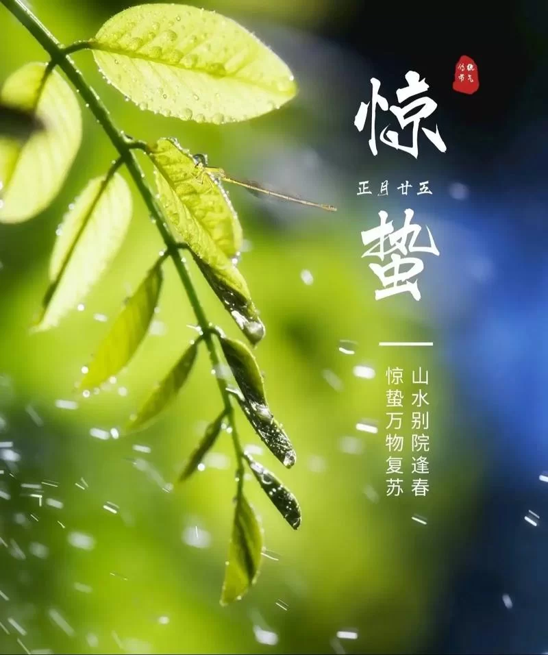春雷响，万物动！惊蛰的“蛰”是什么意思？快速了解