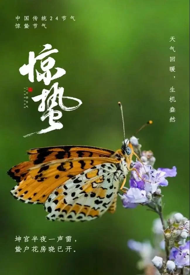 春雷响，万物动！惊蛰的“蛰”是什么意思？快速了解