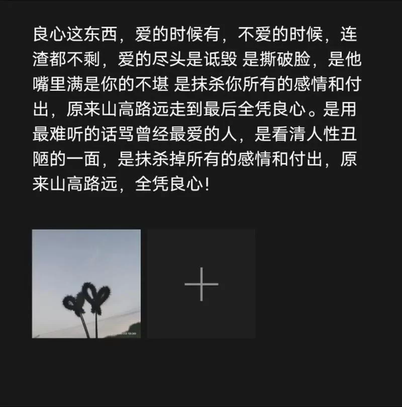 告别渣图！几款良心美化照片软件，让你的照片更出彩