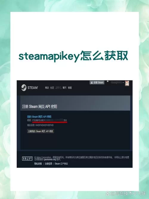 steam api.dll 64位缺失导致游戏无法启动？