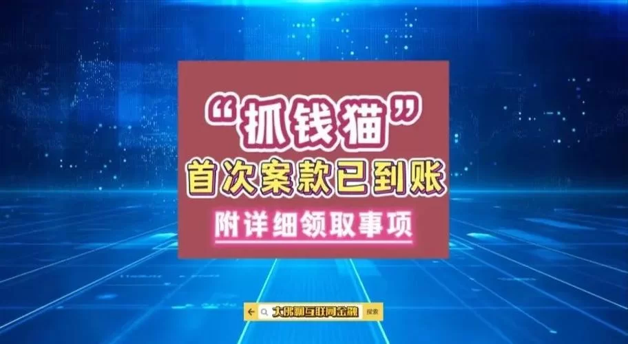 抓钱猫最新消息：案件进展及赔付方案详解