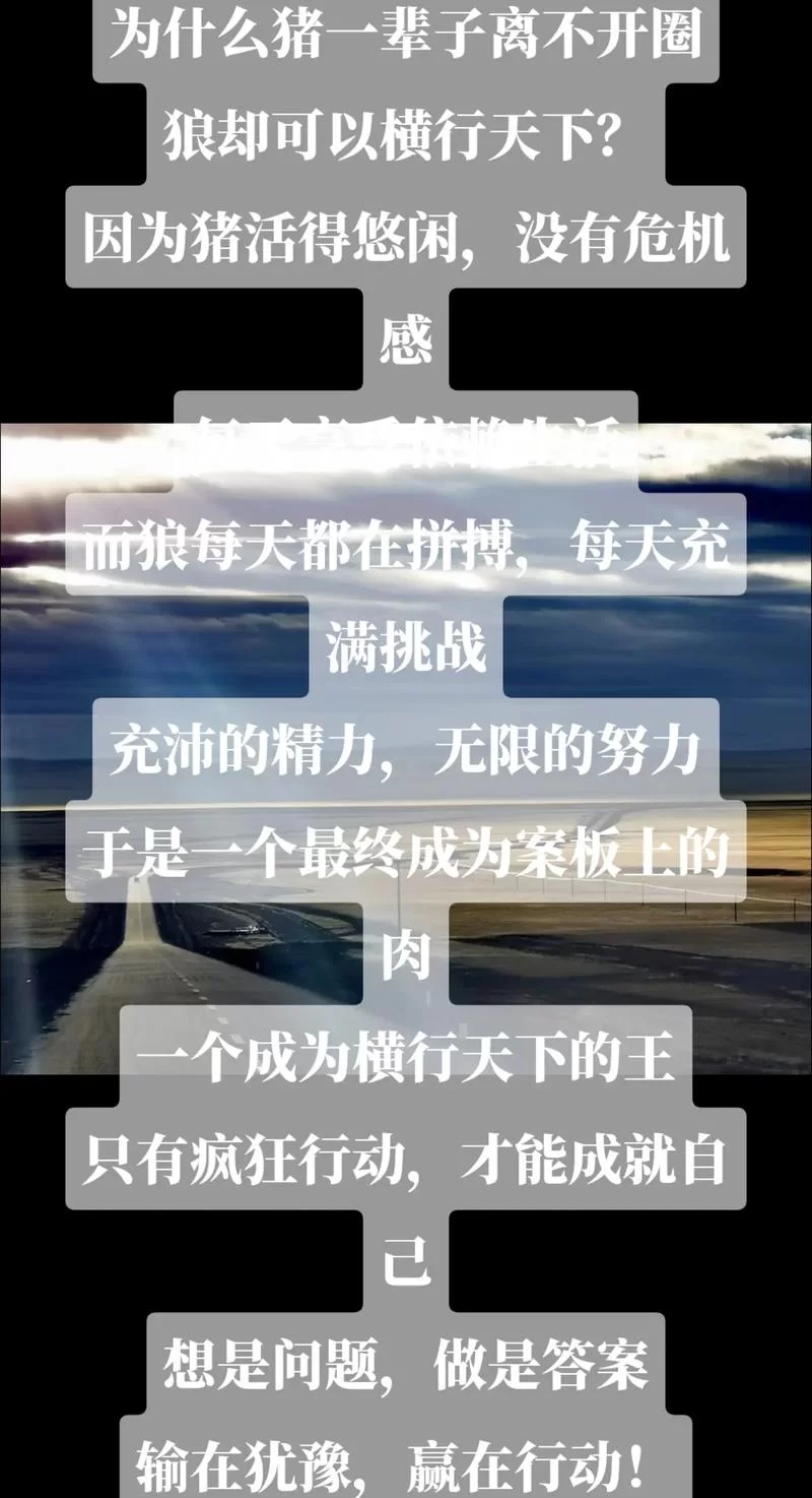 看似疯狂的成就：解读“疯子”的成功秘诀