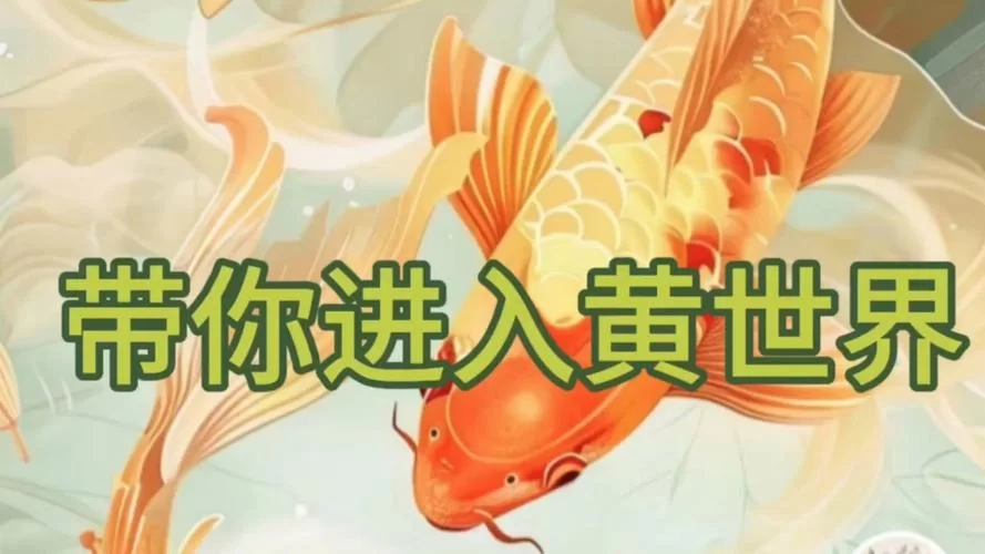 黄色世界背后的隐忍：婚姻的无奈与选择