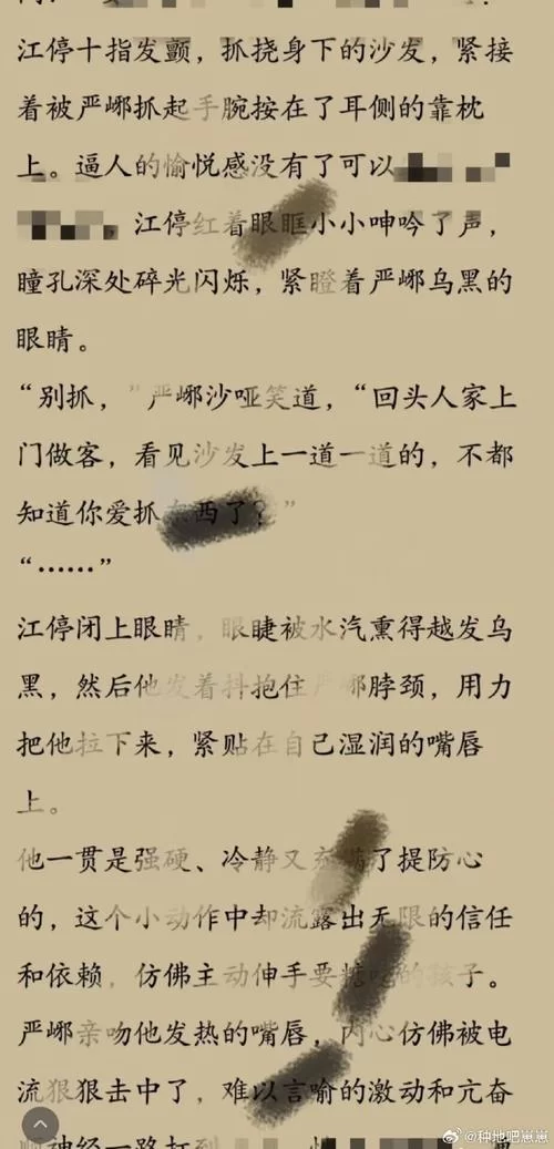 品读花伶小说：感受文字的魅力，体验阅读的乐趣