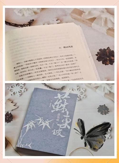 从巅峰到谷底：萧族在斗破苍穹中的兴衰沉浮，一个家族的命运