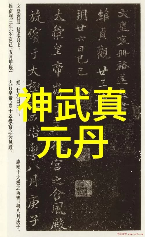 神武真元丹究竟有什么效果？玩家亲测分享