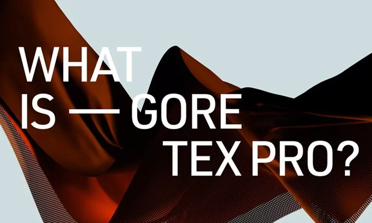 想下载What Are Words？教你几个简单方法！