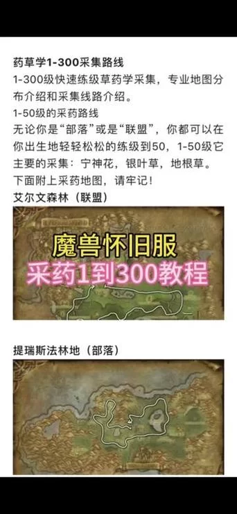 采药225后怎么提升？升级路线及技巧分享