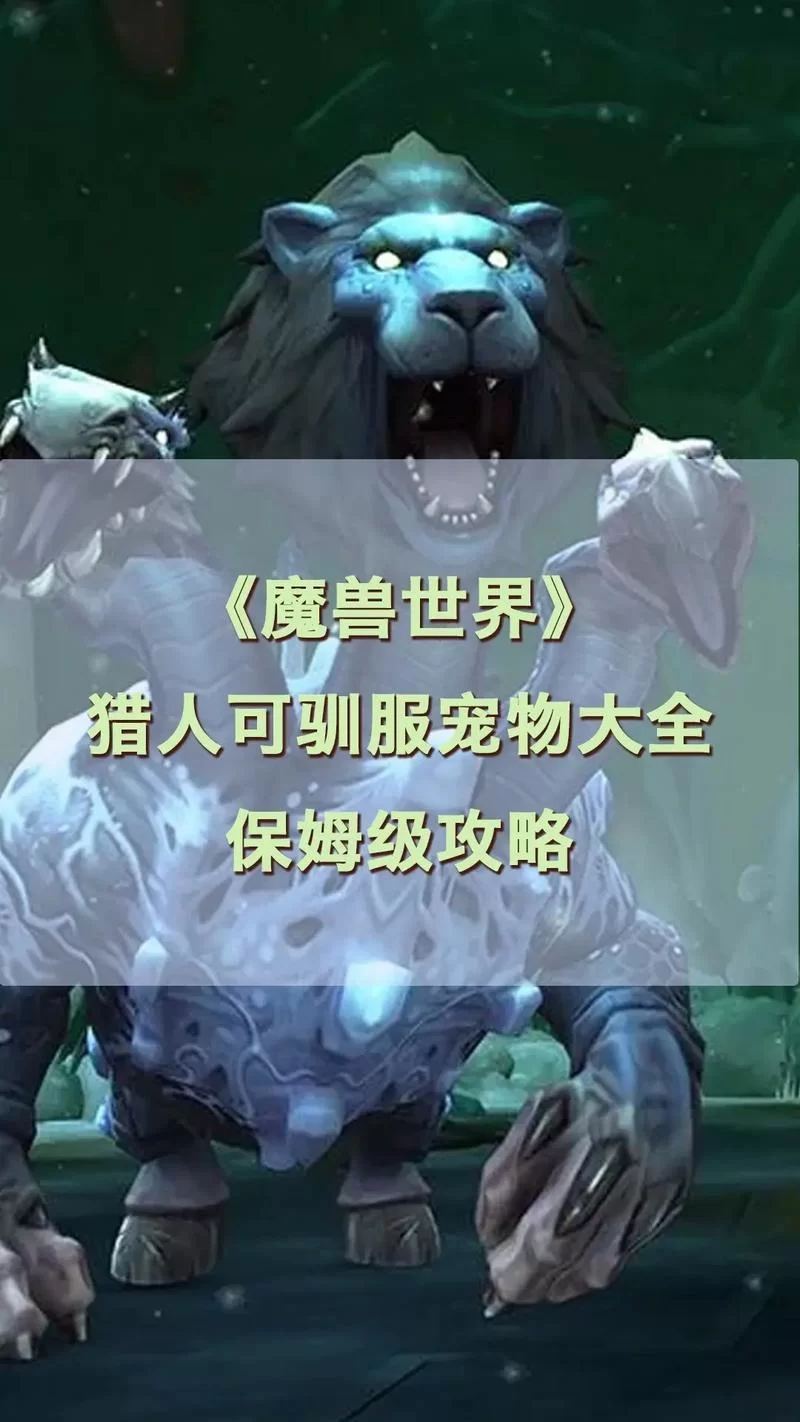 魔兽世界猎人宠物推荐：高效练级战斗宠物搭配