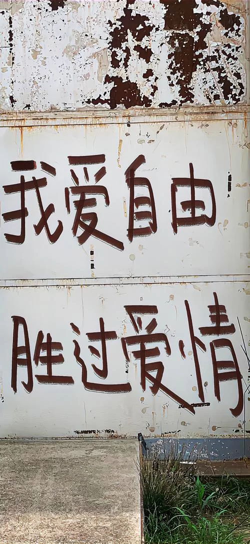 你爱自由胜过爱我，我的执着是否错付？