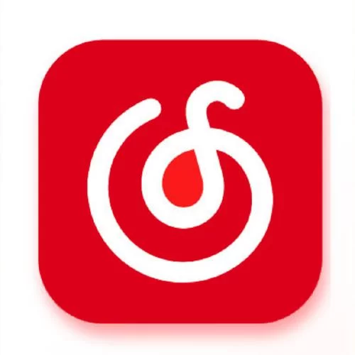 网易云音乐APP下载教程：简单几步，轻松拥有