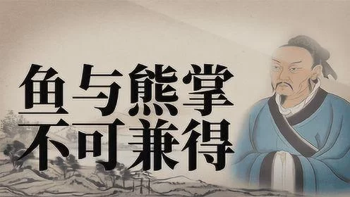 鱼和熊掌不可兼得：教你如何看待理财中的风险和收益